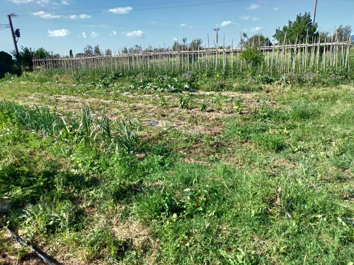 Appartamento Casa Daria, Armonia del Passato nel rispetto della natura Donoratico Italia