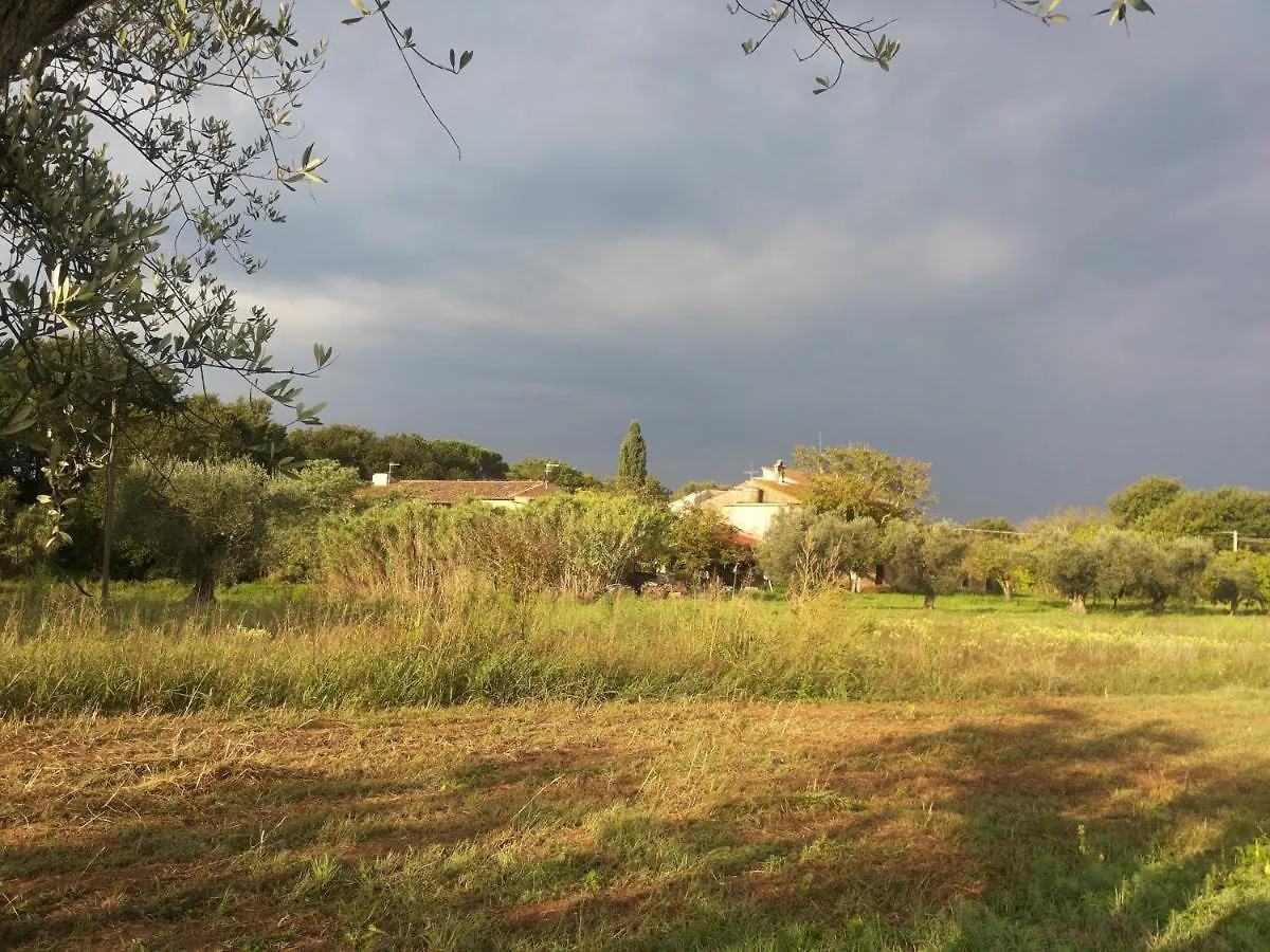 Casa Daria, Armonia del Passato nel rispetto della natura Donoratico 0*,